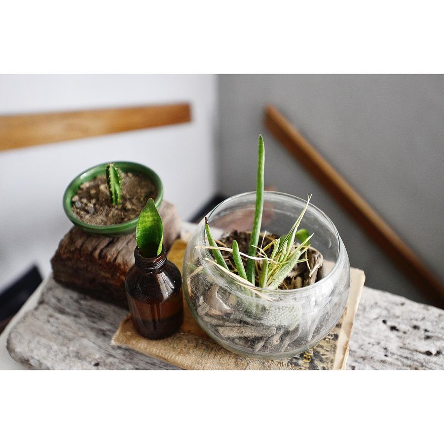 Haba Eco Hostel 圣玛尔塔 外观 照片